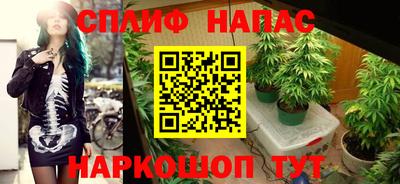 ECSTASY Лесосибирск